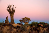 Namibië-vakansie / Namibia Holiday